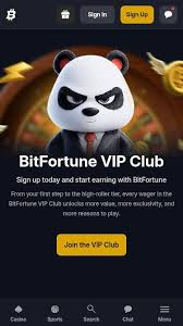 Exploring the Bitfortune Canada No-KYC Experience A Game-Changer in Online Gambling