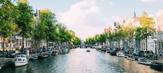 Goeie Koeien Traditionele Kwaliteit in de Zuivelindustrie