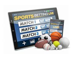 Discover Betwinner Your Ultimate Betting Experience