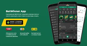 Experience the Thrill of Betting with BetWinner Online Sportsbook