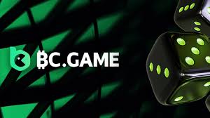 Understanding the BC.Game Login Process 731415301