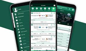 Comprehensive BetWinner Review Your Ultimate Guide to Online Betting