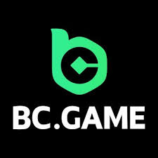 Enhancing Business Efficiency with the BC Mobile App
