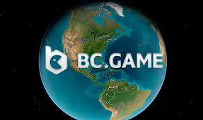 Enhancing Business Efficiency with the BC Mobile App