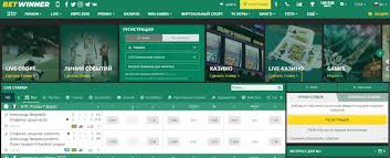 Understanding BetWinner A Comprehensive Overview