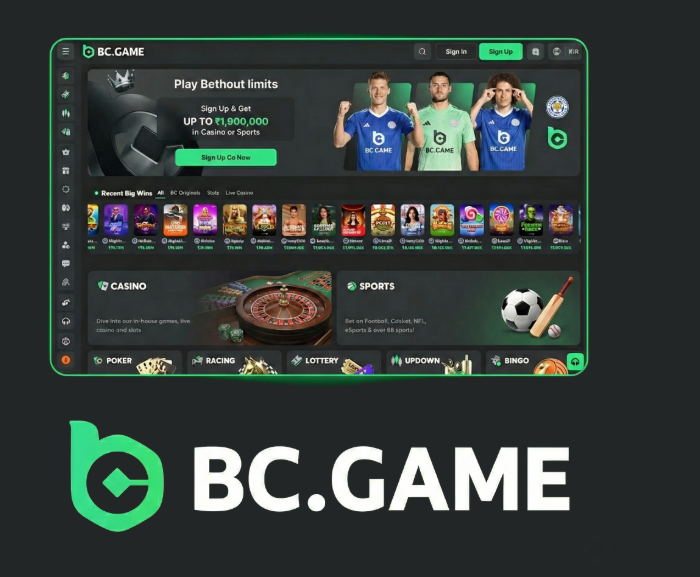Discovering BC.Game Mirror Links Safe Access to Your Favorite Games